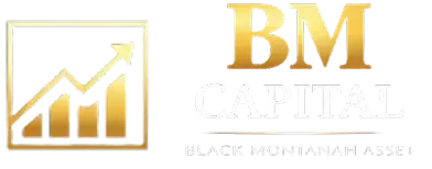 BM Capital